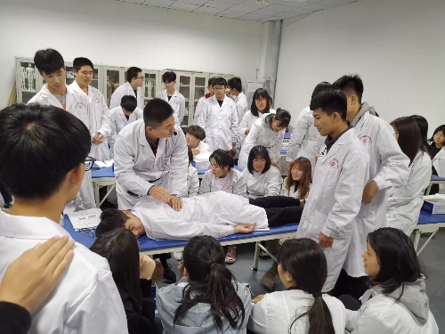 石家莊冀聯(lián)醫(yī)學(xué)中專學(xué)校中醫(yī)專業(yè)升學(xué)可以考哪些學(xué)校？