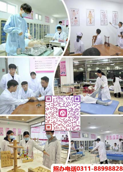 石家莊天使護(hù)士學(xué)校2026年秋季招生專業(yè)有哪些