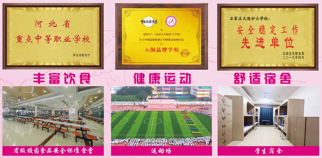 石家莊天使護士學(xué)校2026年秋季錄取分數(shù)線